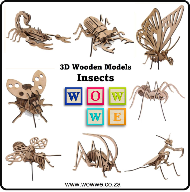 Wooden Insect Model Kits & Puzzles | Wow We SA