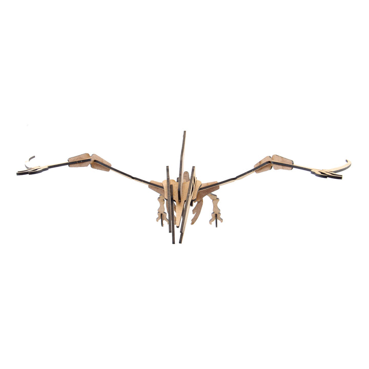 Dinosaur | Flugsaurier Junior (DINO_11)