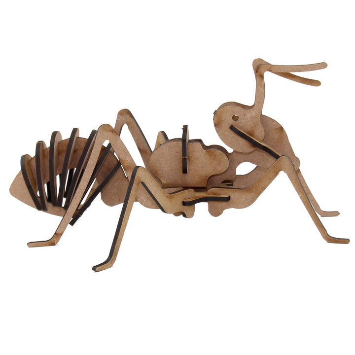 Insect |Ant 3D Wooden Model  (INS_1)