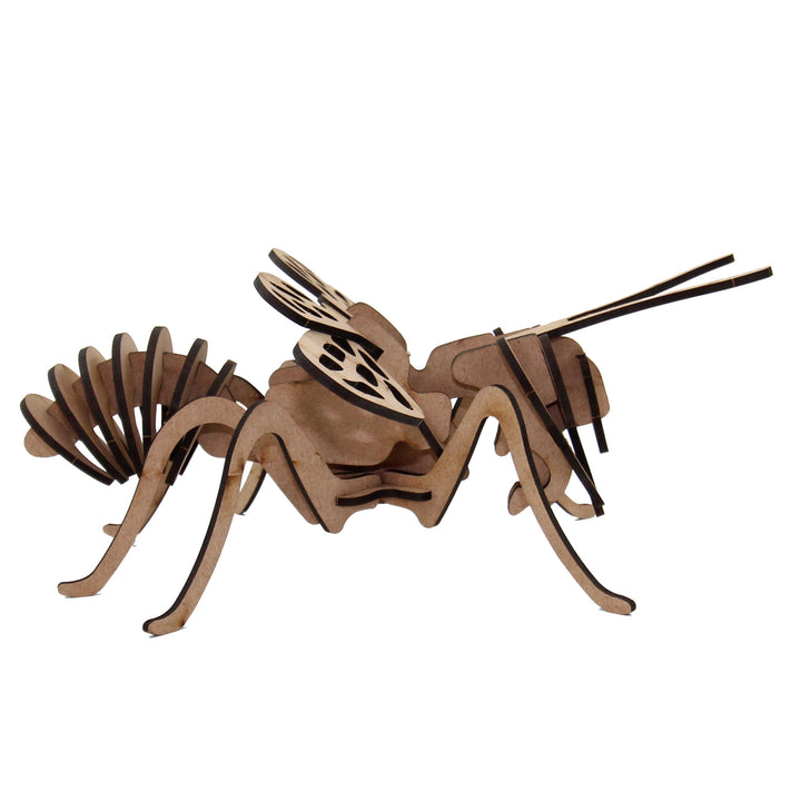 Insect | Honey Bee 3D Wooden Model (INS_2)