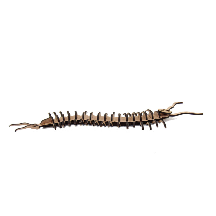 Insect | Centipede (INS_14)