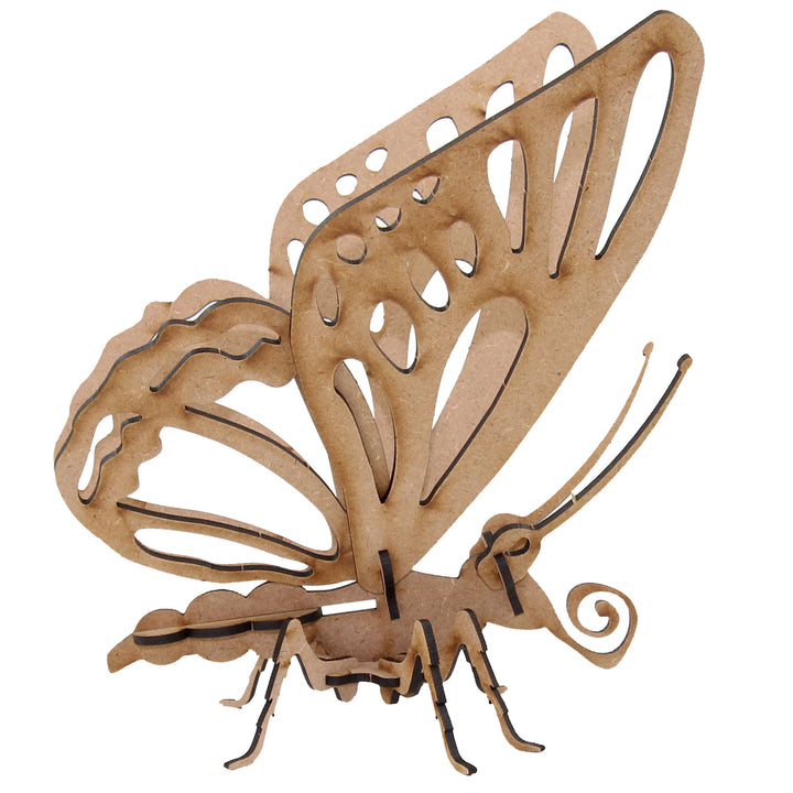 Insect | Exotic Butterfly (INS_19)