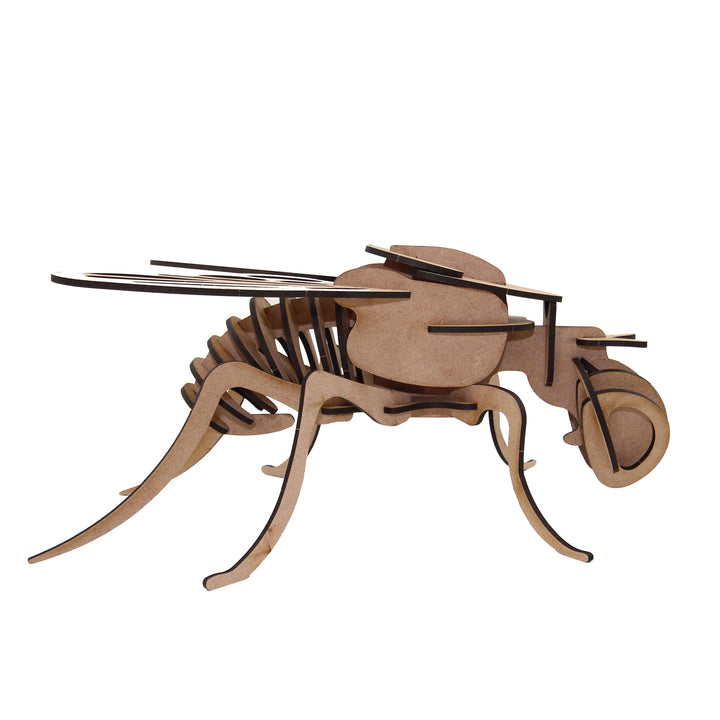Insect | Fly (INS_5)