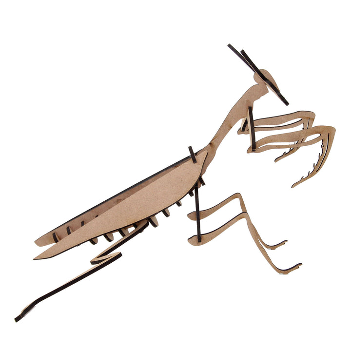 Insect | Praying Mantis (INS_13)