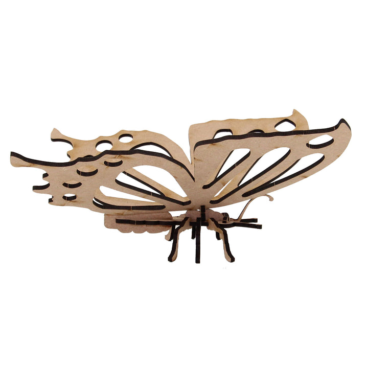 Insect | Pretty Butterfly (INS_11)
