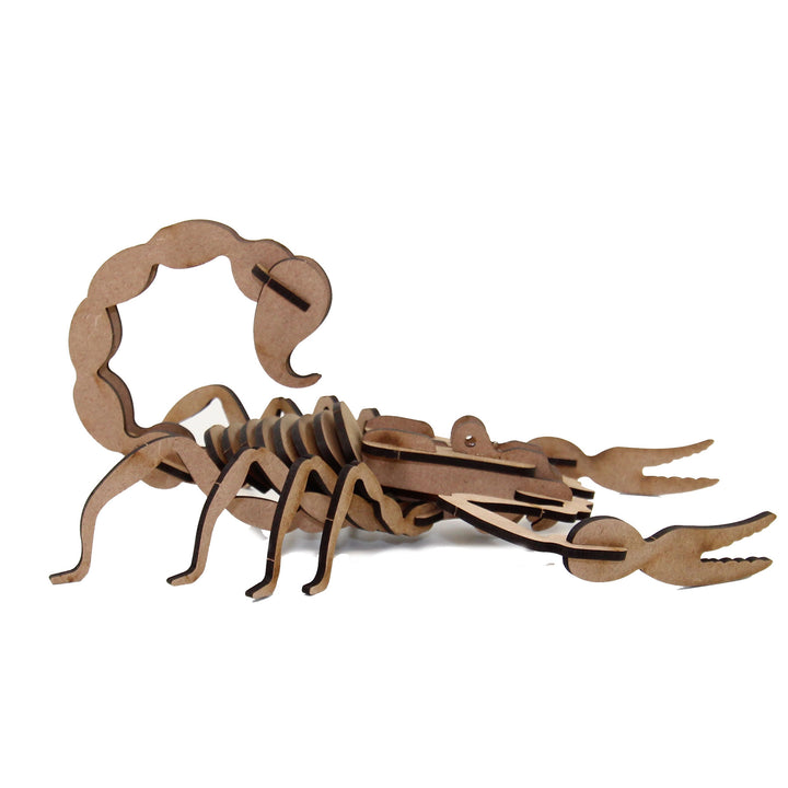 Insect | Scorpion (INS_6)