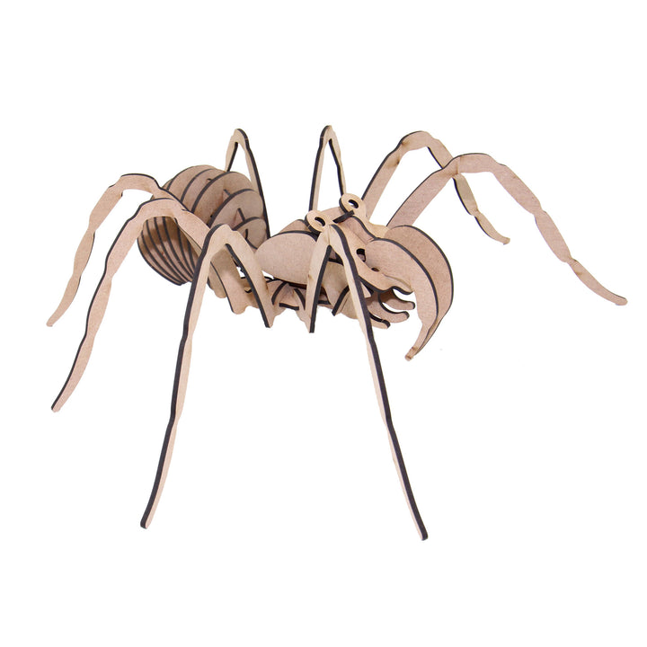 Insect 3D wooden model | Spider (INS_9)