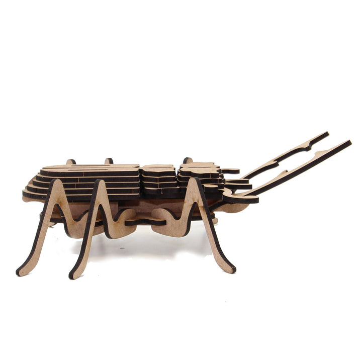 Insect | Stag Beetle (INS_10)