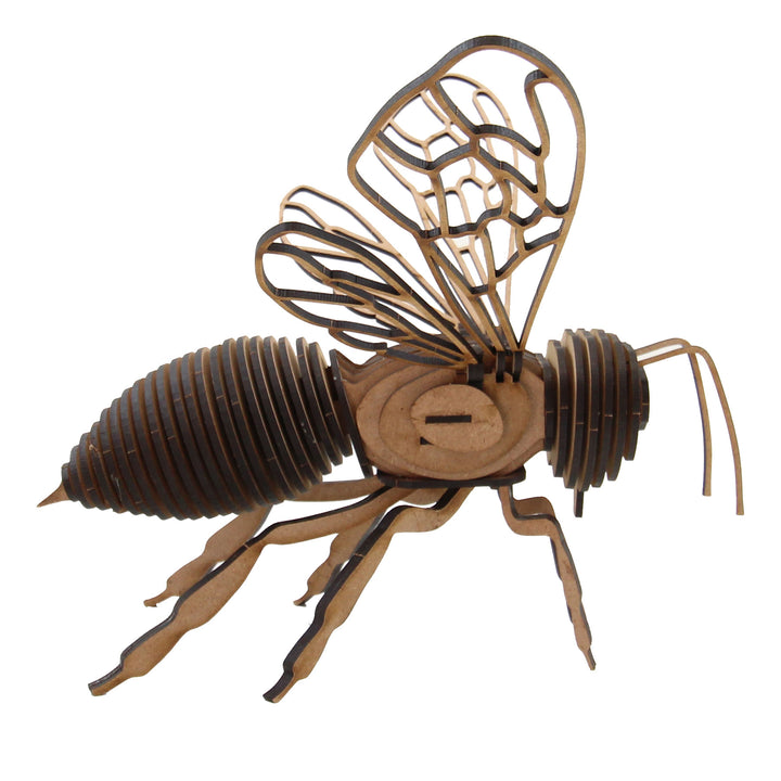 Insect | Western Honey Bee (INS_20)