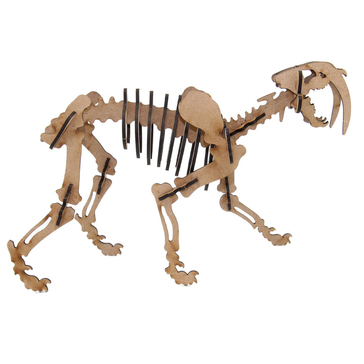 Dinosaur | Saber-Tooth Tiger (DINO_12)