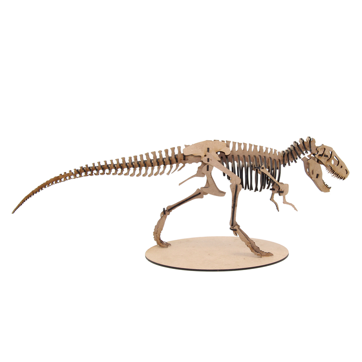Dinosaur | Tyrannosaurus Rex (T-REX) (DINO_6)