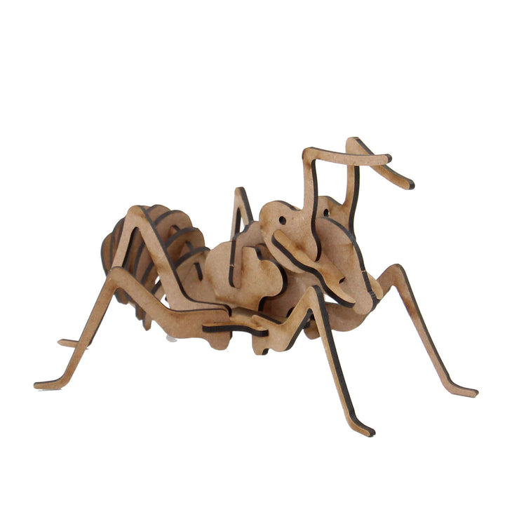 Insect |Ant 3D Wooden Model  (INS_1)