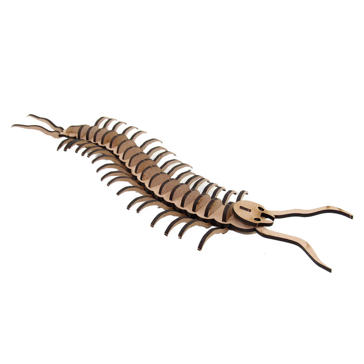 Insect | Centipede (INS_14)