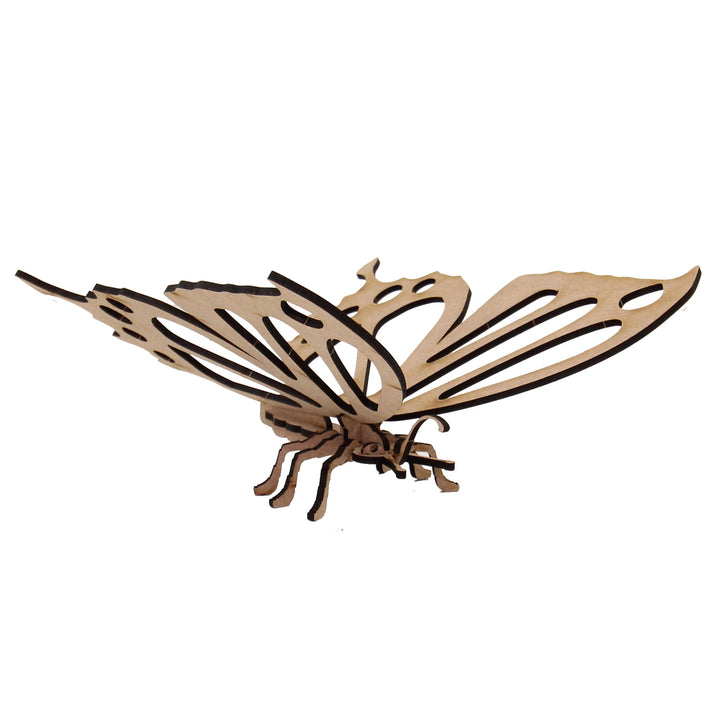Insect | Pretty Butterfly (INS_11)