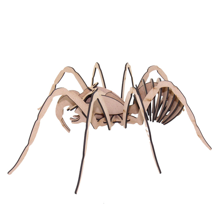 Insect 3D wooden model | Spider (INS_9)