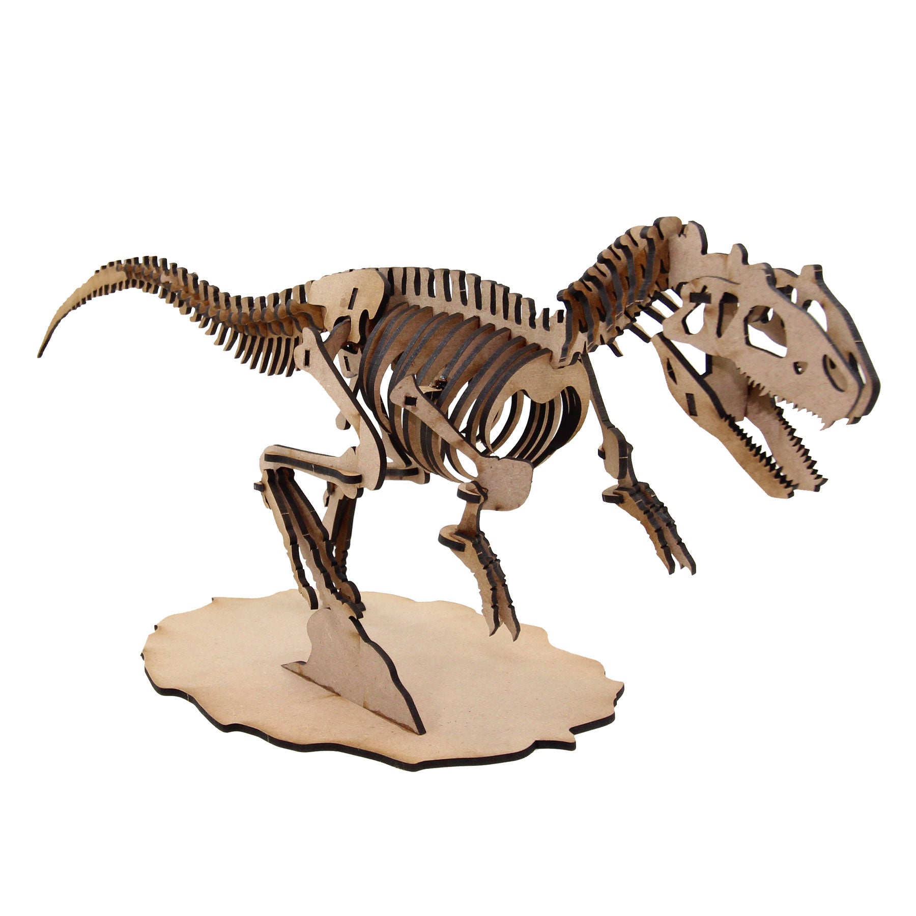 Dinosaur Allosaurus 3D Wooden Model (DINO_15) – WOW WE