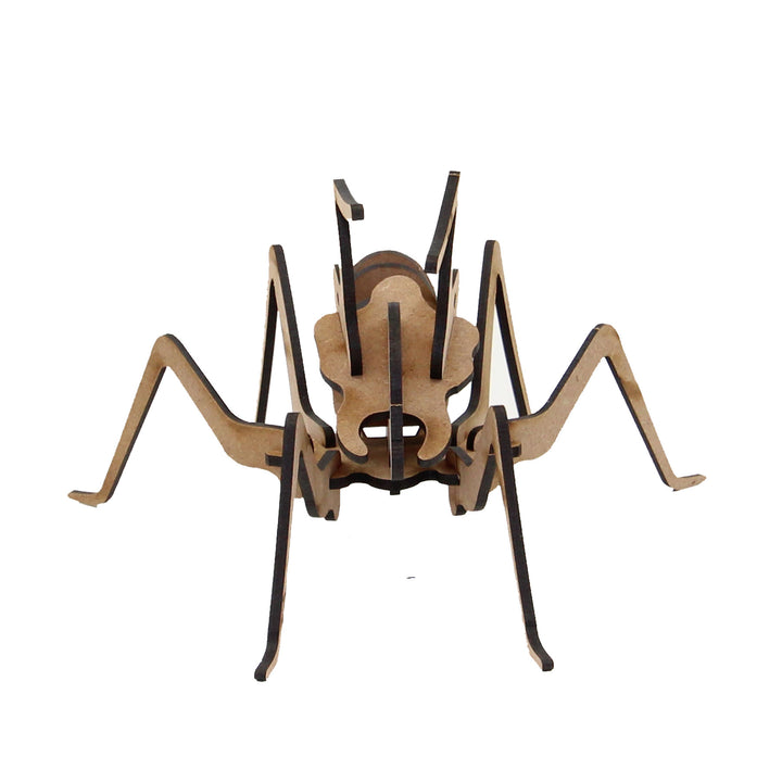 Insect |Ant 3D Wooden Model  (INS_1)