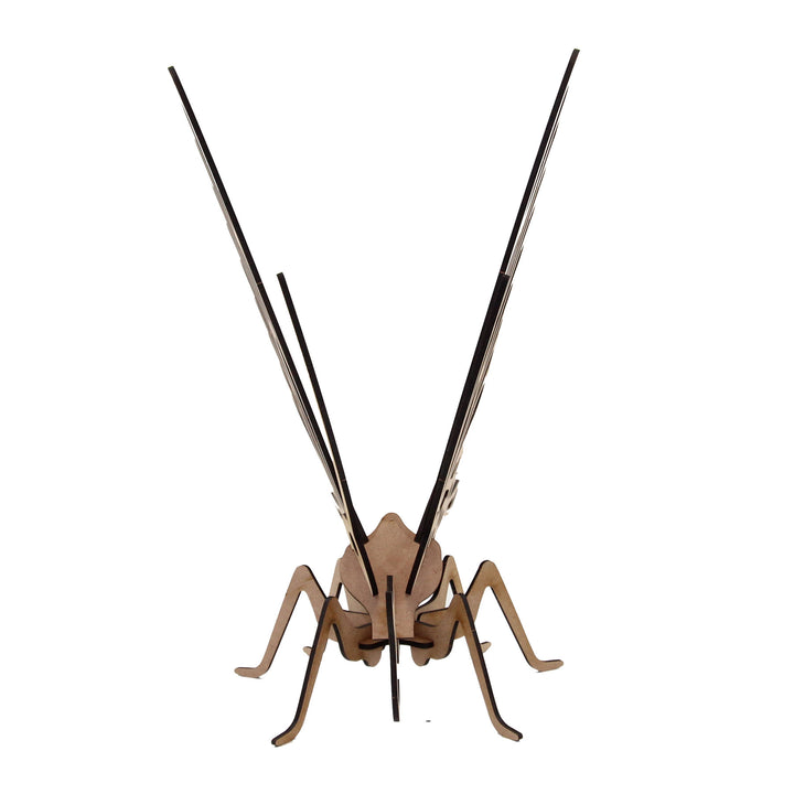 Insect | Sitting Butterfly 3D Wooden Model (INS_3)