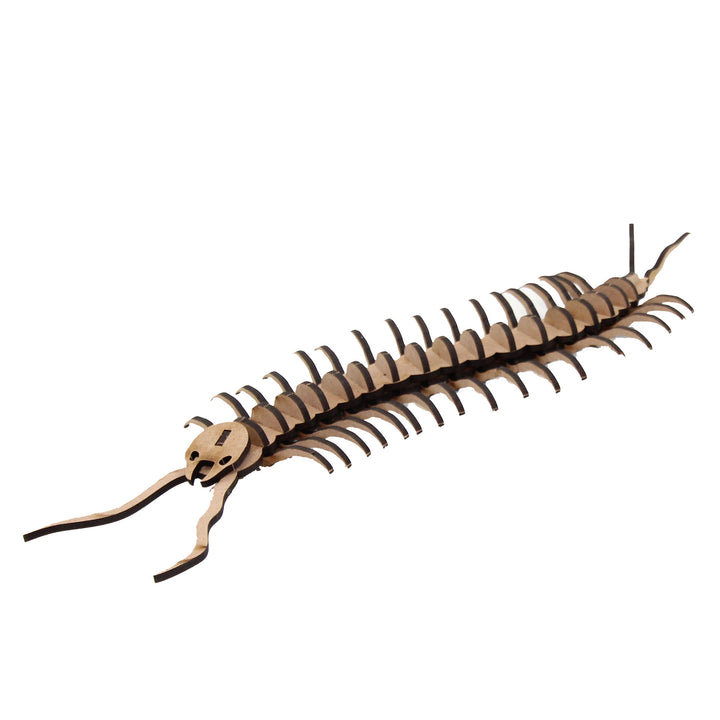 Insect | Centipede (INS_14)