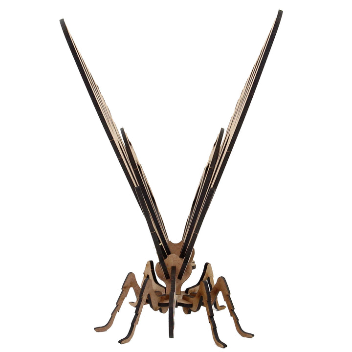 Insect | Exotic Butterfly (INS_19)
