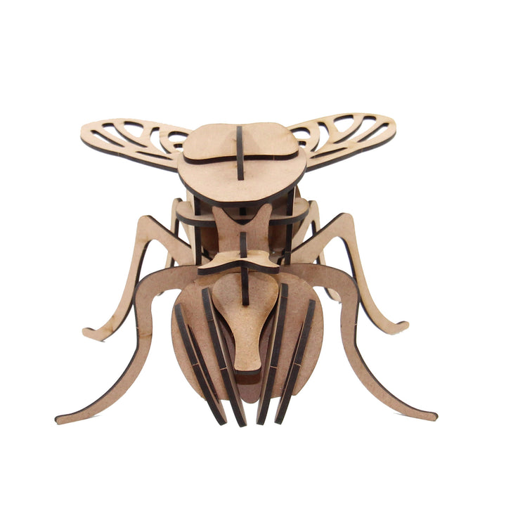 Insect | Fly (INS_5)