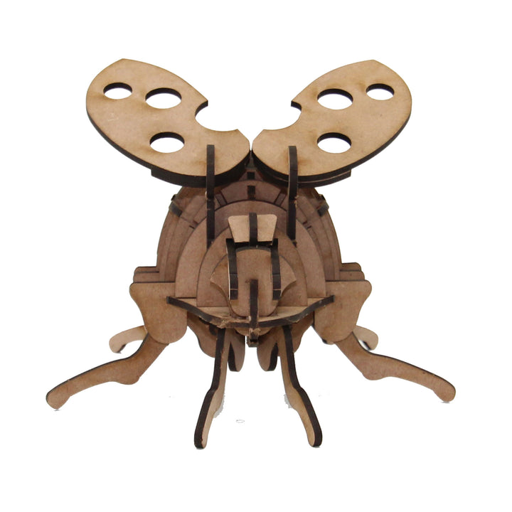 Insect | Lady Bug (INS_17)