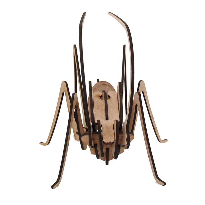Insect | Locust Large (INS_16)