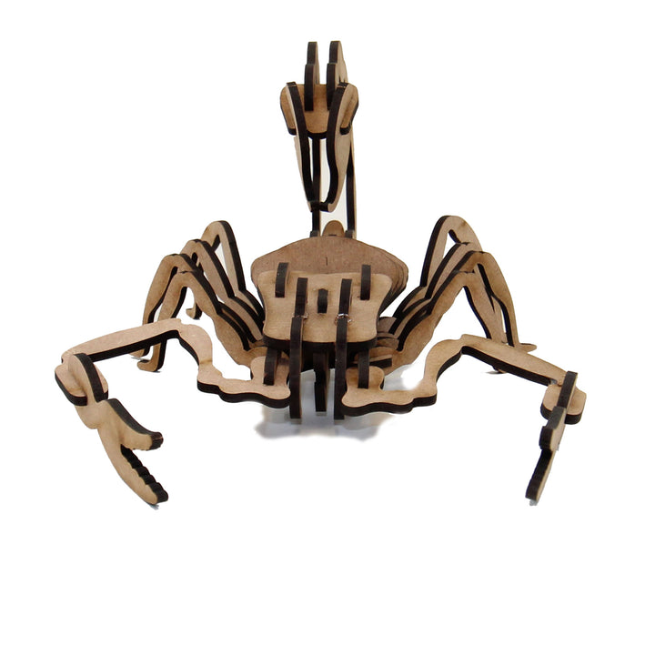 Insect | Scorpion (INS_6)