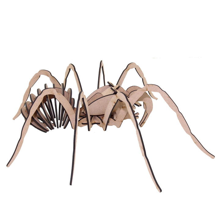 Insect 3D wooden model | Spider (INS_9)