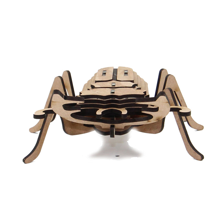 Insect | Stag Beetle (INS_10)