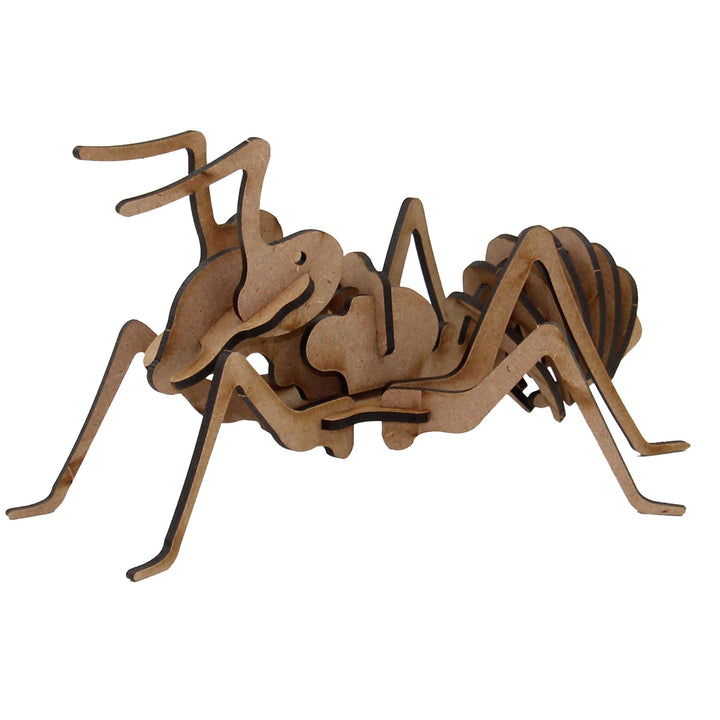 Insect |Ant 3D Wooden Model  (INS_1)