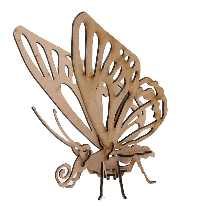 Insect | Exotic Butterfly (INS_19)