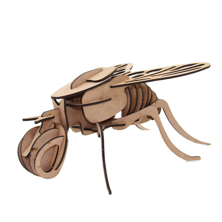 Insect | Fly (INS_5)