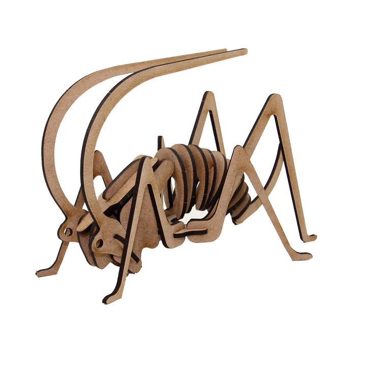 Insect | Grasshopper Small (INS_12)