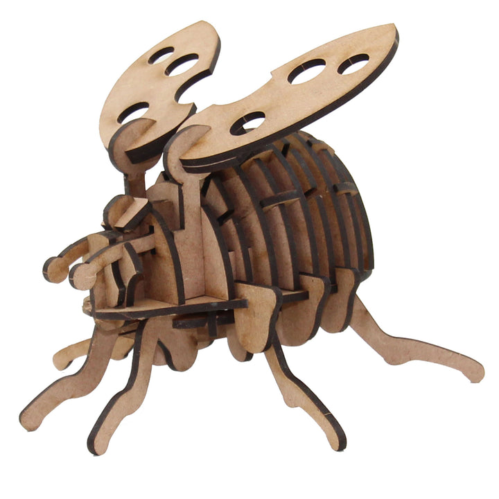 Insect | Lady Bug (INS_17)