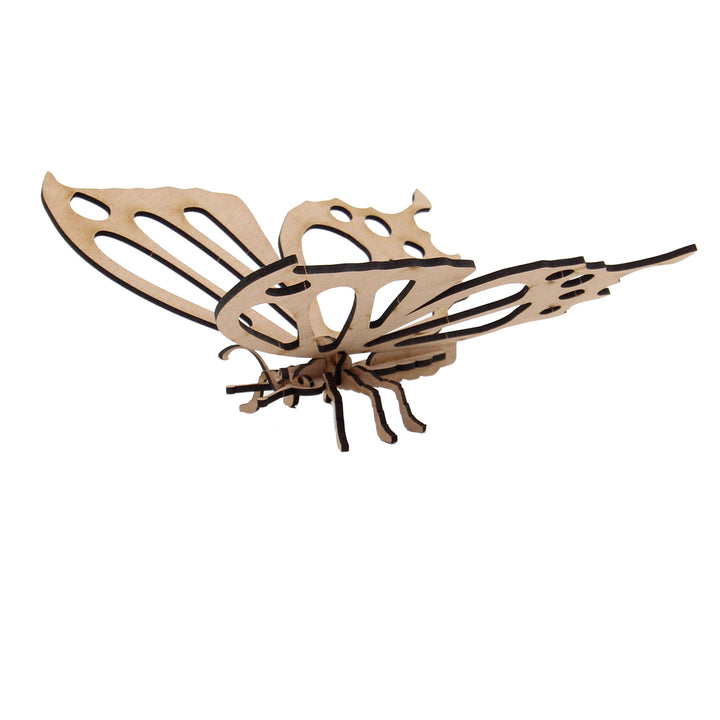 Insect | Pretty Butterfly (INS_11)