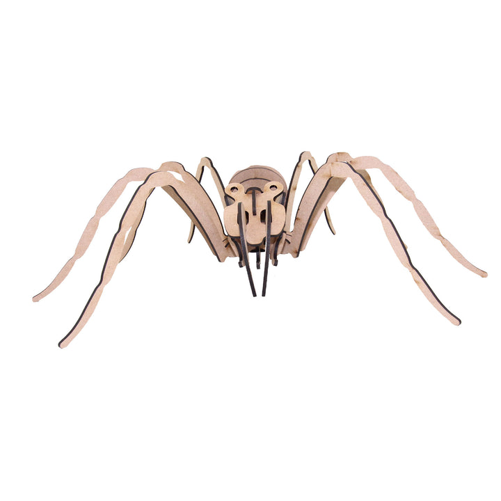 Insect 3D wooden model | Spider (INS_9)