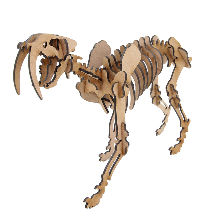 Dinosaur | Saber-Tooth Tiger (DINO_12)