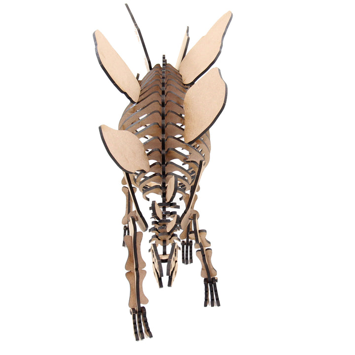 Dinosaur | Stegosaurus (DINO_7)