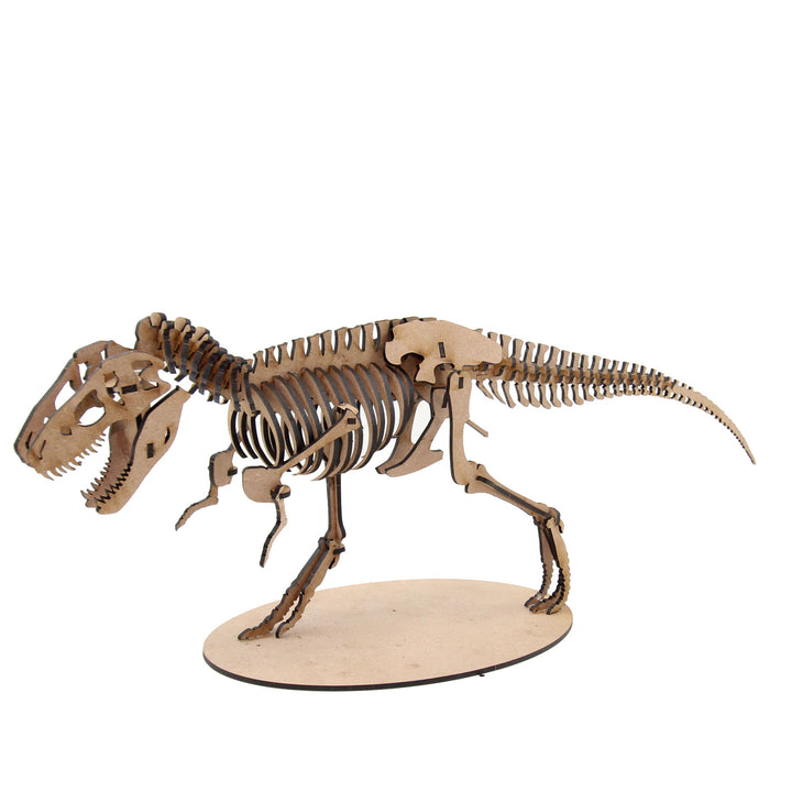 Dinosaur | Tyrannosaurus Rex (T-REX) (DINO_6)