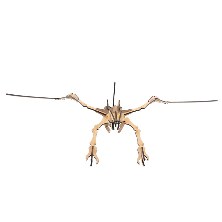 Dinosaur | Flugsaurier Junior (DINO_11)