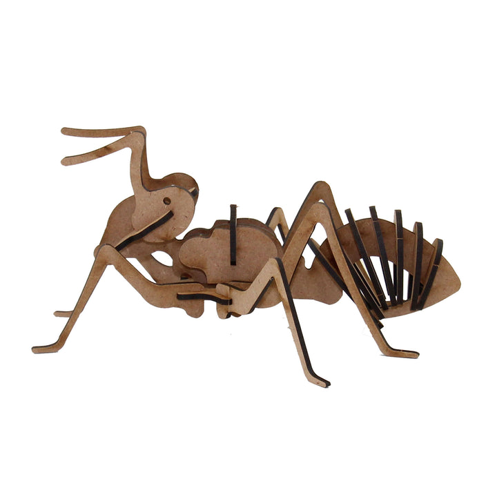 Insect |Ant 3D Wooden Model  (INS_1)