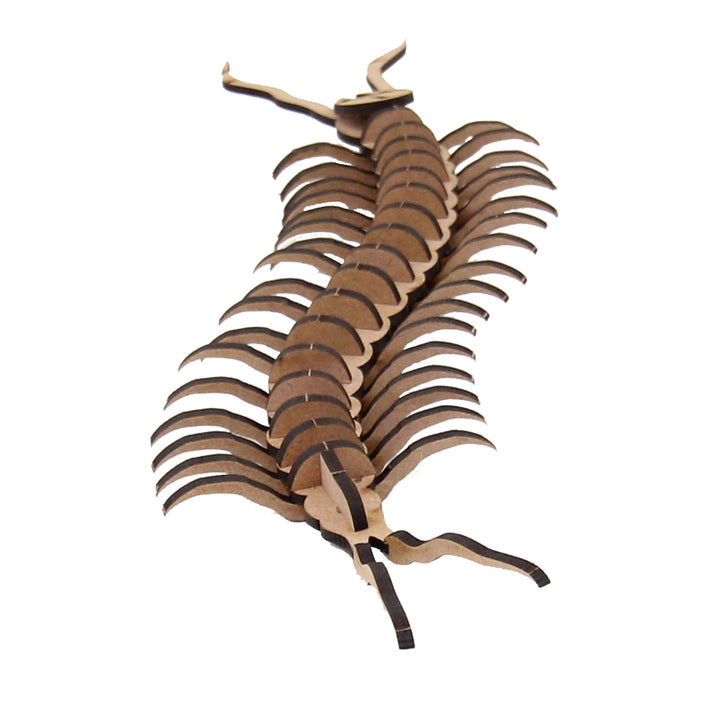 Insect | Centipede (INS_14)