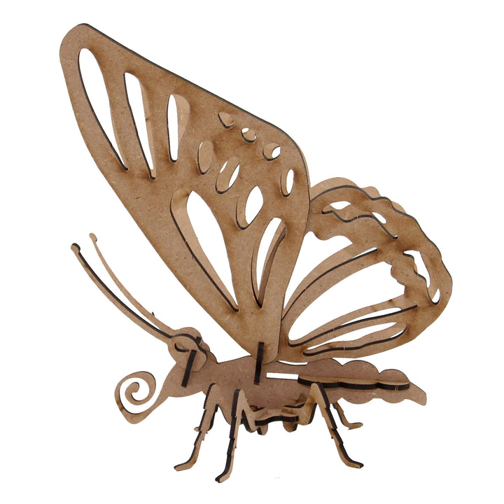 Insect | Exotic Butterfly (INS_19)