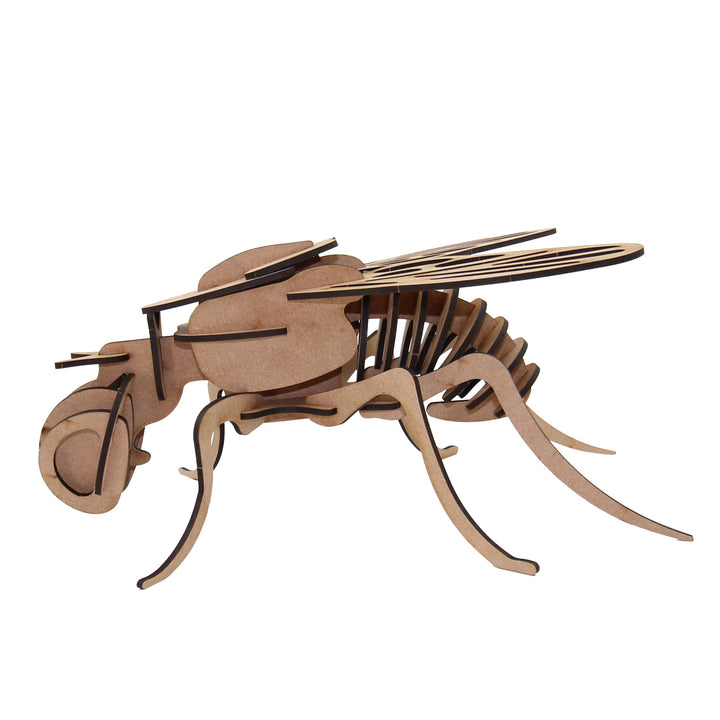 Insect | Fly (INS_5)