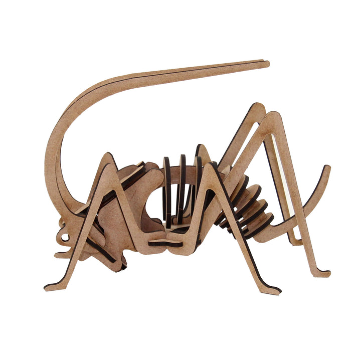 Insect | Grasshopper Small (INS_12)