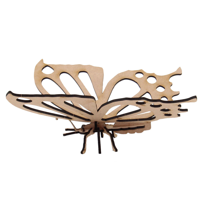 Insect | Pretty Butterfly (INS_11)