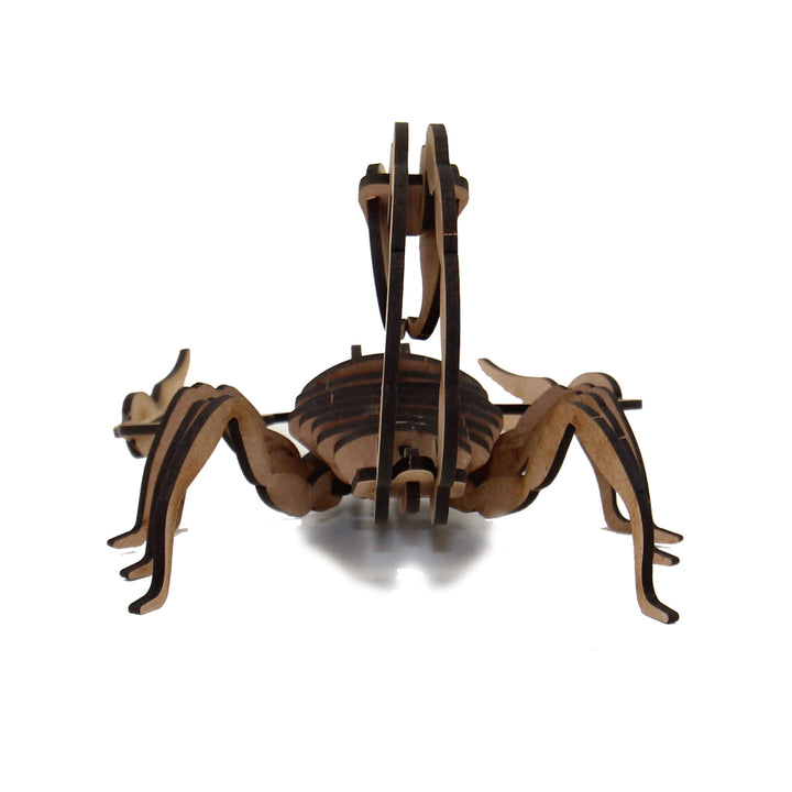 Insect | Scorpion (INS_6)