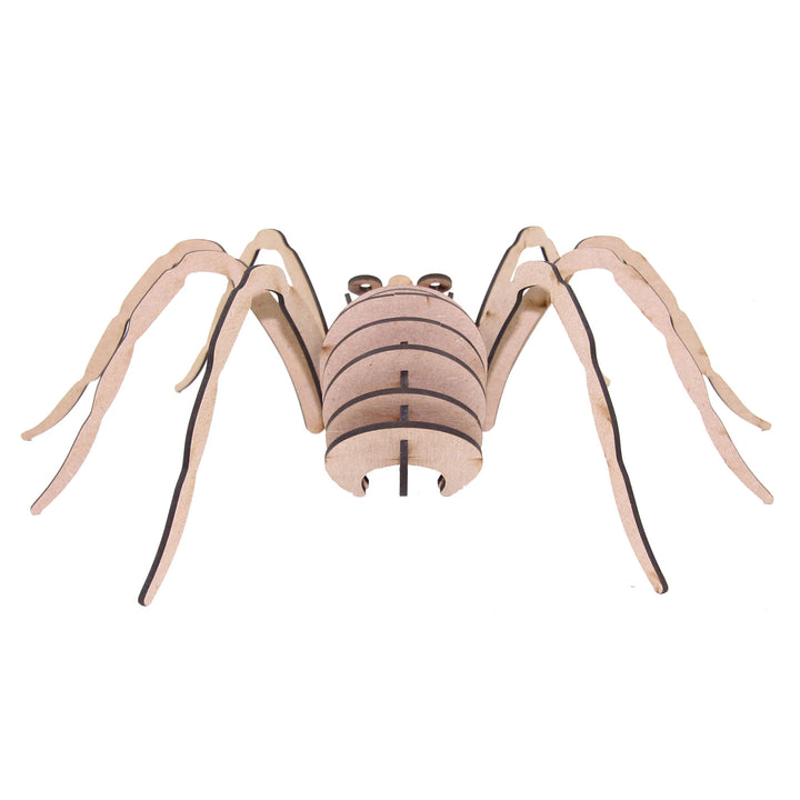 Insect 3D wooden model | Spider (INS_9)