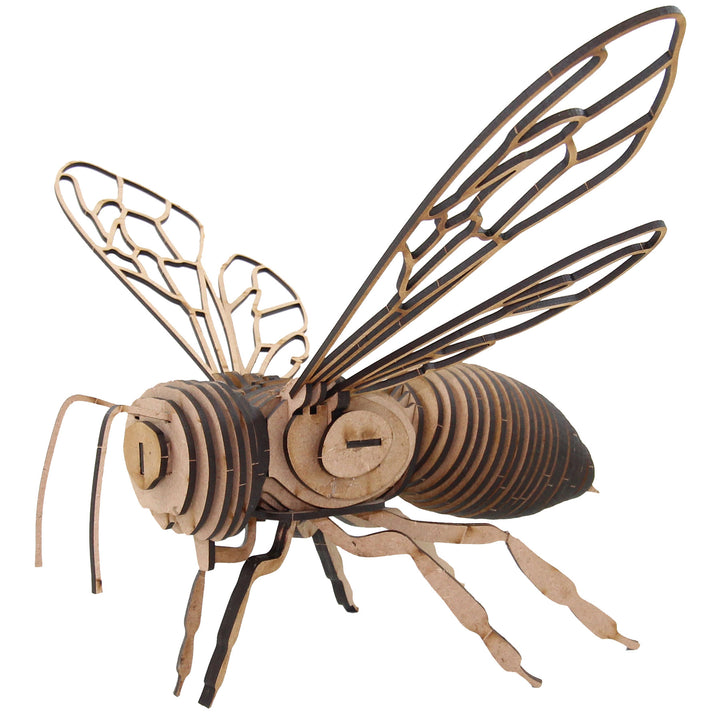 Insect | Western Honey Bee (INS_20)